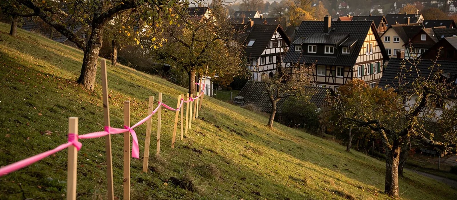 Der Sonnenhang über Hagenbach — das Bauland, um das gestritten wird.